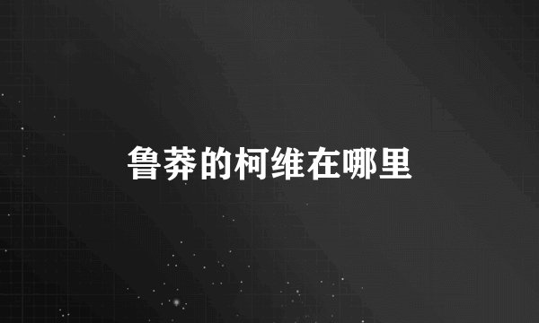 鲁莽的柯维在哪里