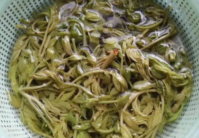 香椿芽怎么吃