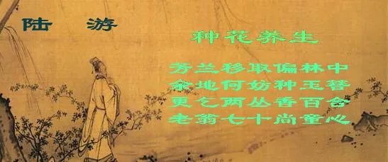 陆游的诗有哪些