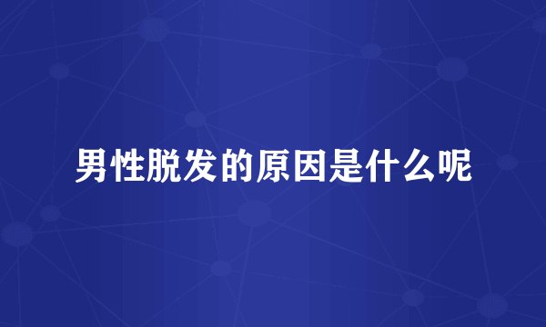 男性脱发的原因是什么呢