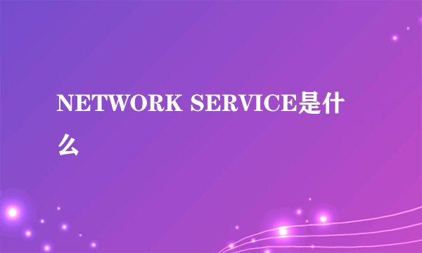 NETWORK SERVICE是什么