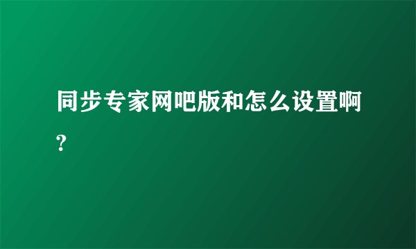 同步专家网吧版和怎么设置啊?