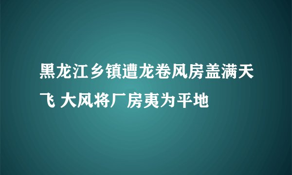 黑龙江乡镇遭龙卷风房盖满天飞 大风将厂房夷为平地