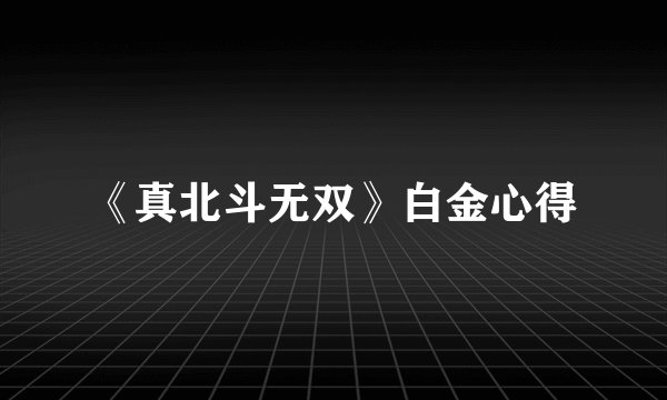 《真北斗无双》白金心得