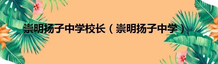 崇明扬子中学校长（崇明扬子中学）