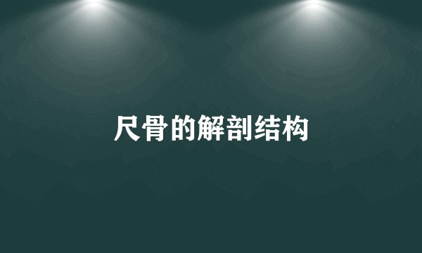 尺骨的解剖结构