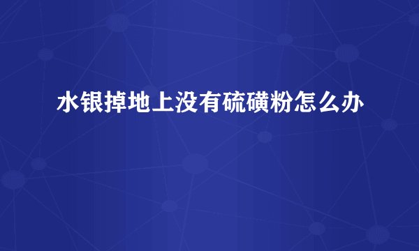 水银掉地上没有硫磺粉怎么办