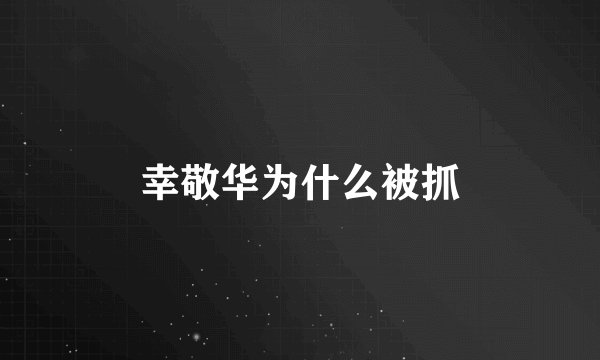 幸敬华为什么被抓