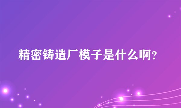 精密铸造厂模子是什么啊？