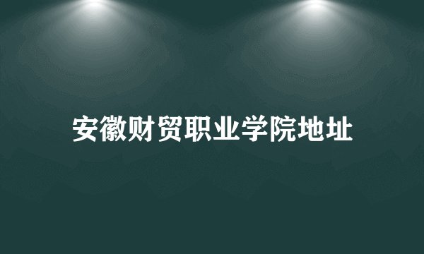 安徽财贸职业学院地址
