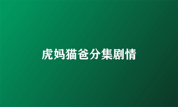 虎妈猫爸分集剧情