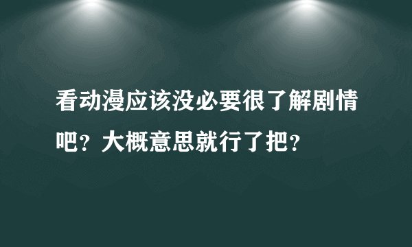 看动漫应该没必要很了解剧情吧？大概意思就行了把？