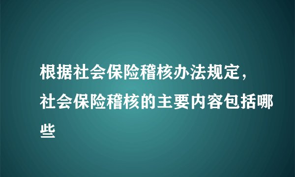根据社会保险稽核办法规定，社会保险稽核的主要内容包括哪些
