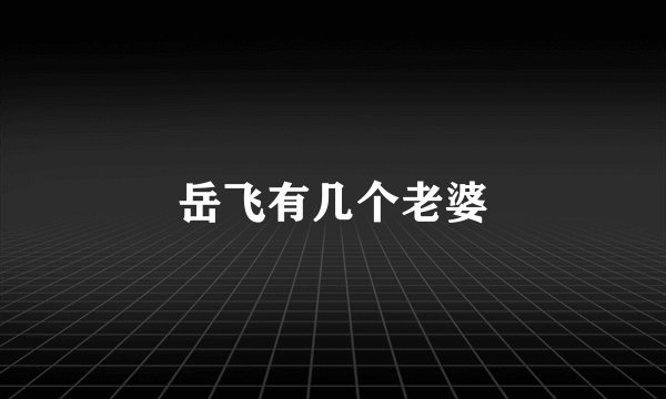 岳飞有几个老婆