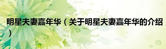 明星夫妻嘉年华（关于明星夫妻嘉年华的介绍）