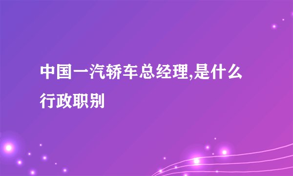 中国一汽轿车总经理,是什么行政职别