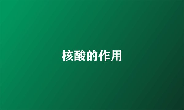 核酸的作用