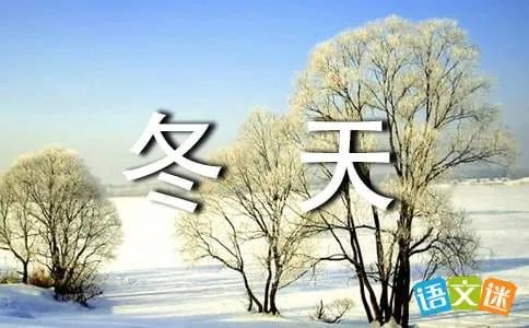 爱在冬天
