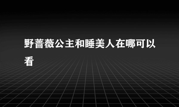 野蔷薇公主和睡美人在哪可以看