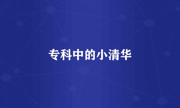 专科中的小清华