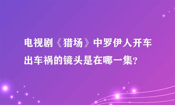 电视剧《猎场》中罗伊人开车出车祸的镜头是在哪一集？