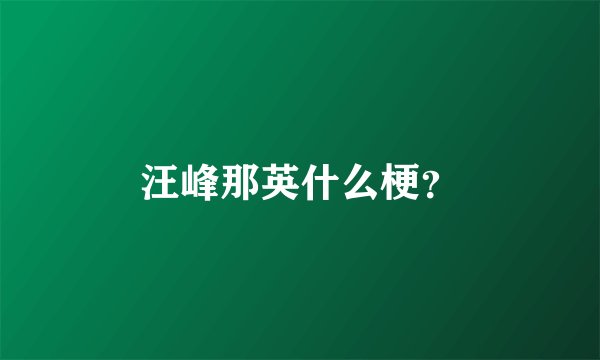 汪峰那英什么梗?