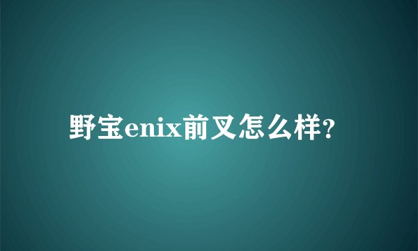 野宝enix前叉怎么样？