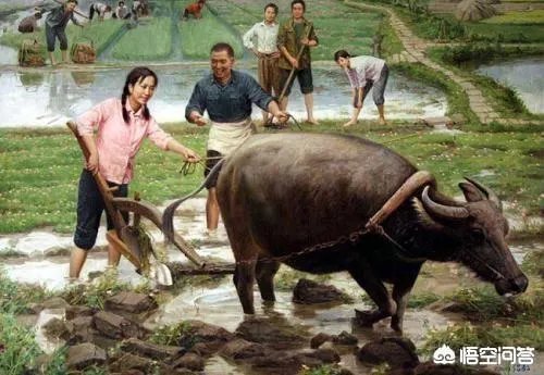 贫贱夫妻百事哀的上一句是什么?出自哪里?作者要表达什么意思?