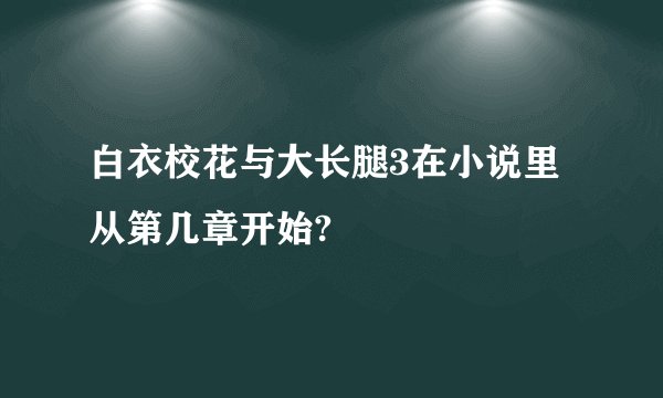 白衣校花与大长腿3在小说里从第几章开始?
