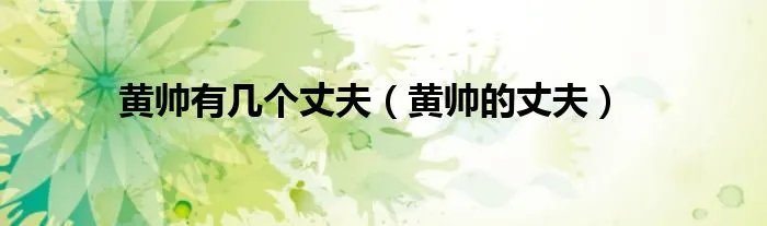 黄帅有几个丈夫（黄帅的丈夫）
