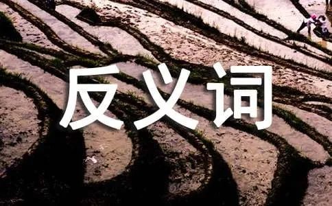 侃侃而谈的反义词
