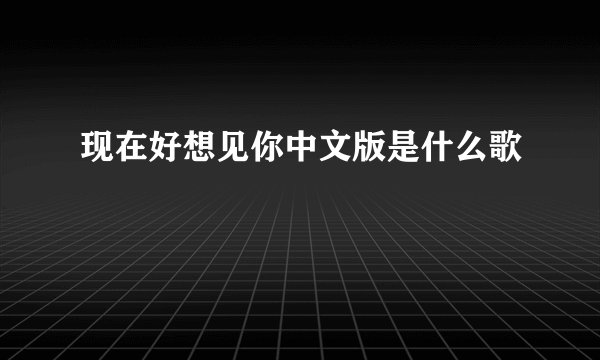现在好想见你中文版是什么歌