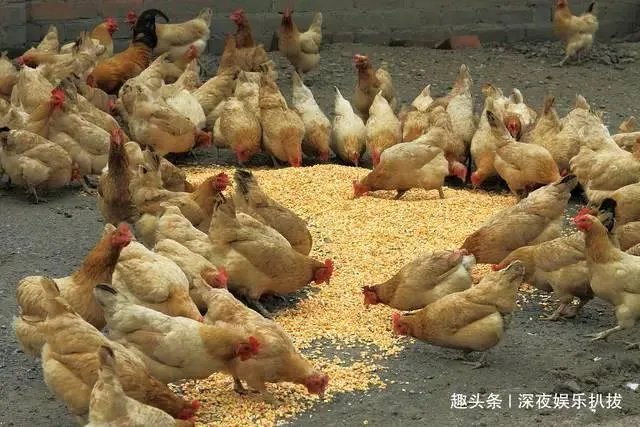 你对央视《致富经》栏目怎么看?