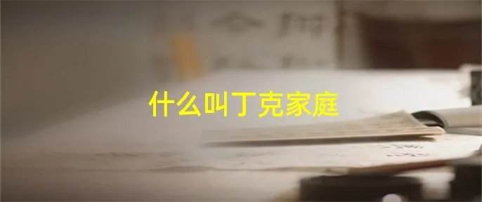 什么叫丁克家庭
