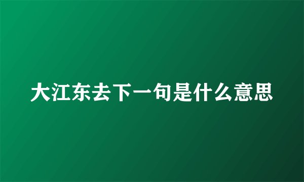大江东去下一句是什么意思