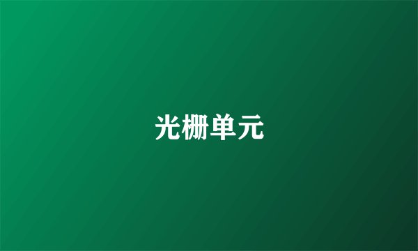 光栅单元