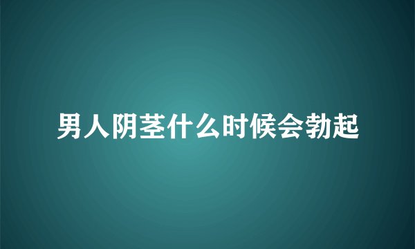 男人阴茎什么时候会勃起