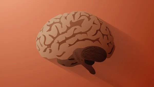 什么是散发性脑炎