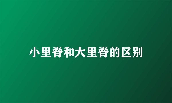小里脊和大里脊的区别