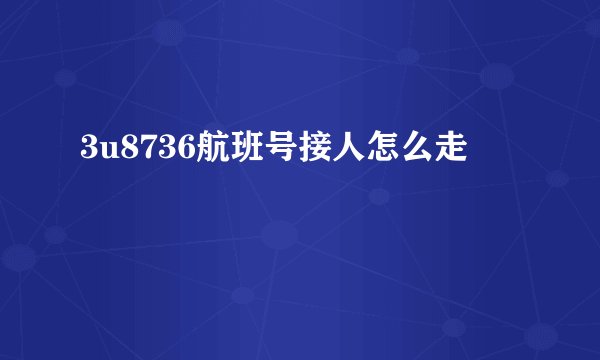 3u8736航班号接人怎么走