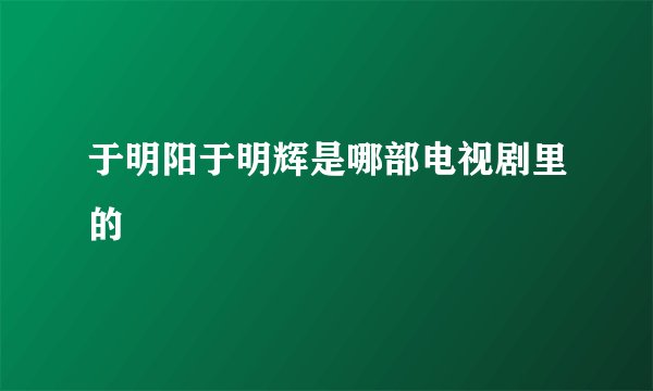 于明阳于明辉是哪部电视剧里的