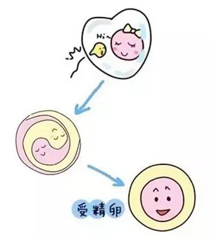 上海长征医院供卵三代试管需要住院吗?
