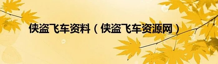 侠盗飞车资料（侠盗飞车资源网）