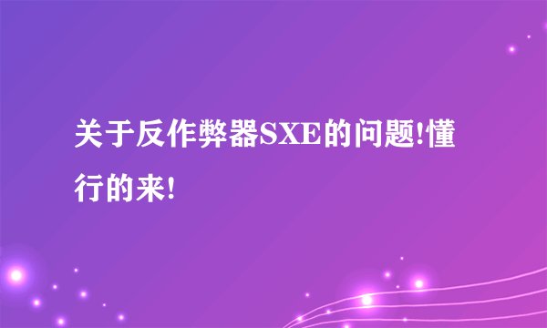 关于反作弊器SXE的问题!懂行的来!