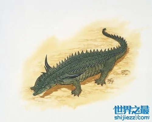 世界上最大的有角鳄,你绝对想不到这种角鳄到底有多大!