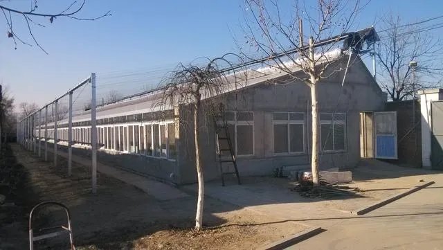 蔬菜大棚和蔬菜温室的区别是什么?