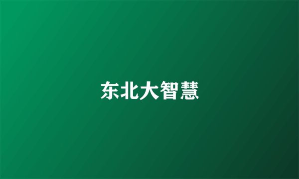 东北大智慧