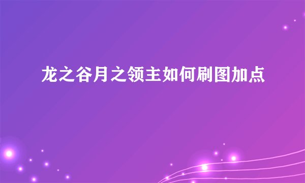 龙之谷月之领主如何刷图加点