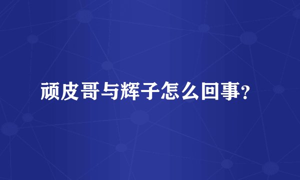 顽皮哥与辉子怎么回事？