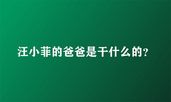 汪小菲的爸爸是干什么的?